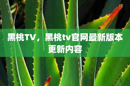 黑桃TV，黑桃tv官网最新版本更新内容