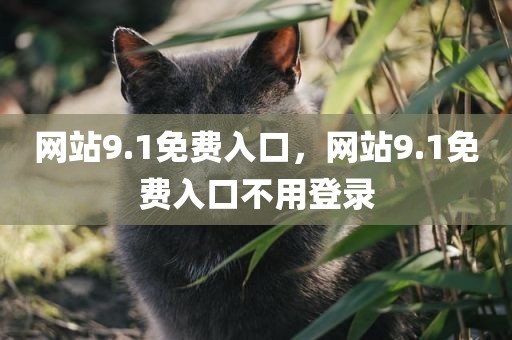 网站9.1免费入口，网站9.1免费入口不用登录