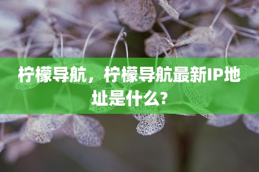柠檬导航，柠檬导航最新IP地址是什么?