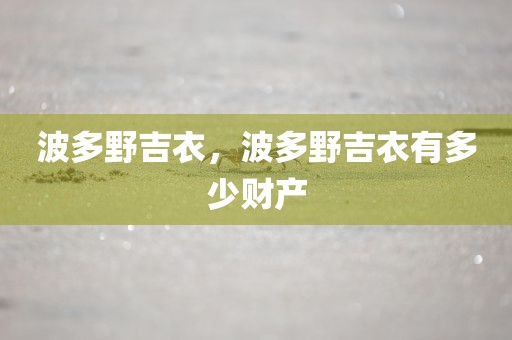 波多野吉衣，波多野吉衣有多少财产