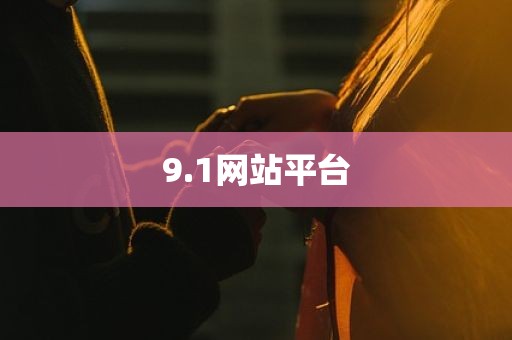 9.1网站平台
