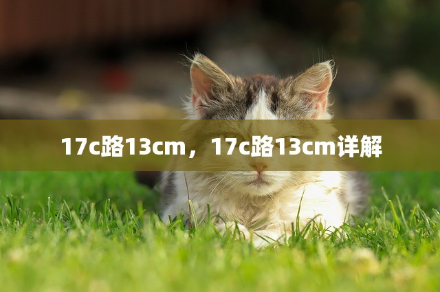 17c路13cm，17c路13cm详解
