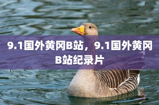 9.1国外黄冈B站，9.1国外黄冈B站纪录片