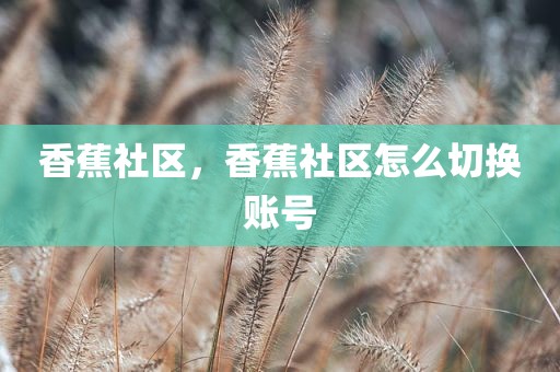 香蕉社区，香蕉社区怎么切换账号