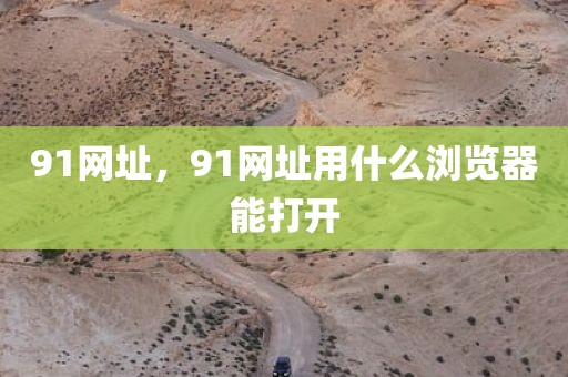 91网址，91网址用什么浏览器能打开