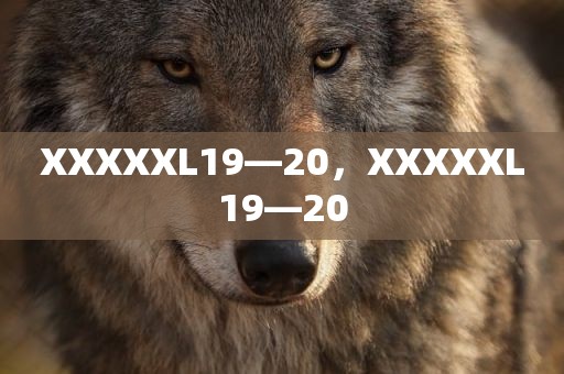 XXXXXL19—20，XXXXXL19—20