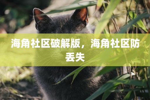 海角社区破解版，海角社区防丢失