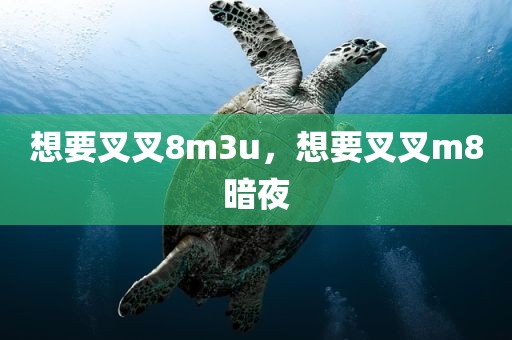 想要叉叉8m3u，想要叉叉m8暗夜