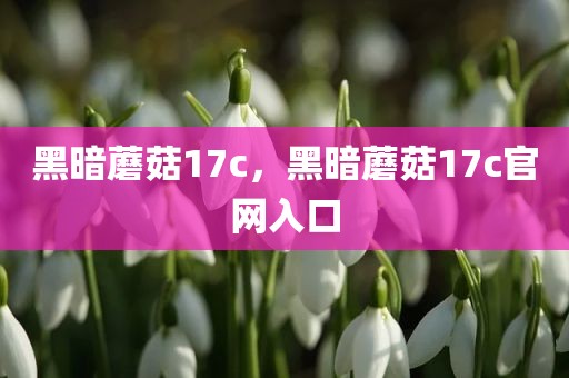 黑暗蘑菇17c，黑暗蘑菇17c官网入口