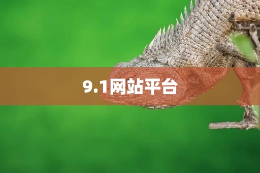9.1网站平台