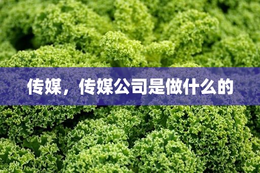 传媒，传媒公司是做什么的