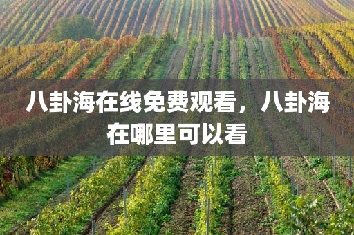 八卦海在线免费观看，八卦海在哪里可以看