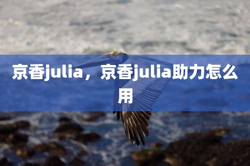 京香julia，京香julia助力怎么用