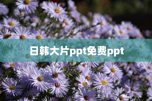 日韩大片ppt免费ppt