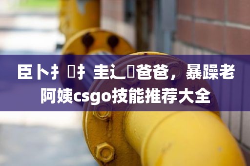 臣卜扌喿扌圭辶畐爸爸，暴躁老阿姨csgo技能推荐大全