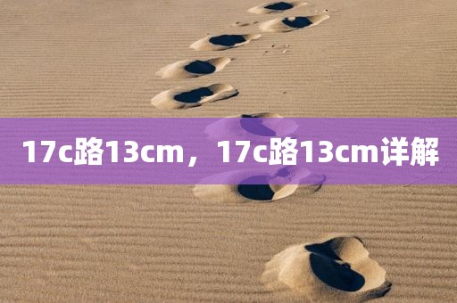 17c路13cm，17c路13cm详解