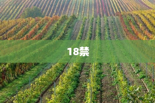 18禁