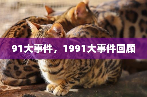 91大事件，1991大事件回顾