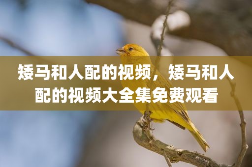 矮马和人配的视频，矮马和人配的视频大全集免费观看