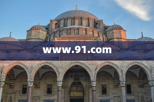 www.91.com