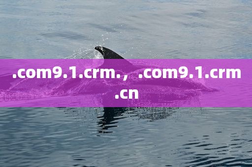 .com9.1.crm.，.com9.1.crm.cn