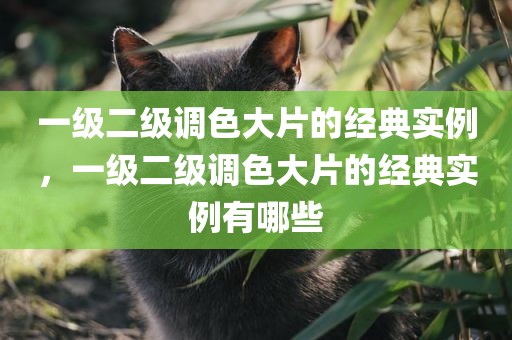 一级二级调色大片的经典实例，一级二级调色大片的经典实例有哪些