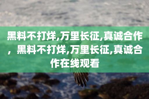 黑料不打烊,万里长征,真诚合作，黑料不打烊,万里长征,真诚合作在线观看
