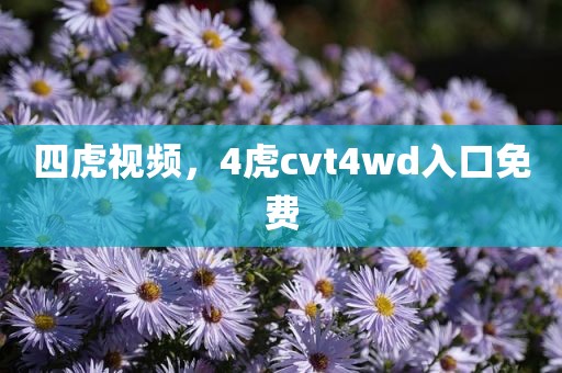四虎视频，4虎cvt4wd入口免费