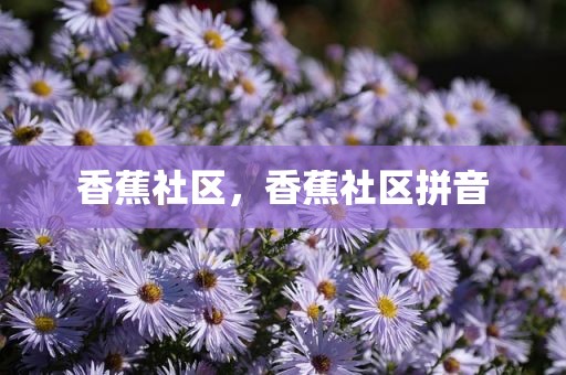 香蕉社区，香蕉社区拼音