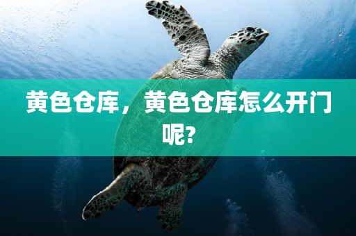 黄色仓库，黄色仓库怎么开门呢?