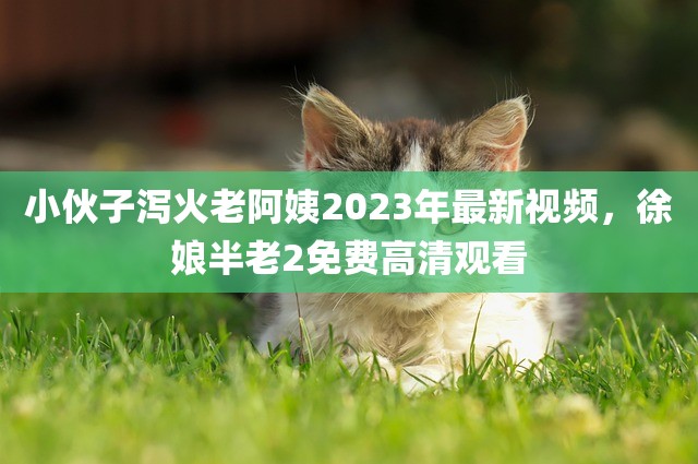 小伙子泻火老阿姨2023年最新视频，徐娘半老2免费高清观看
