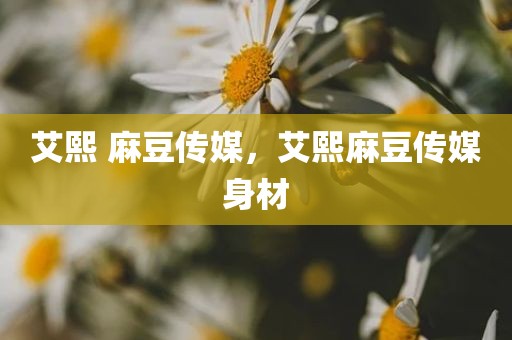 艾熙 麻豆传媒，艾熙麻豆传媒身材