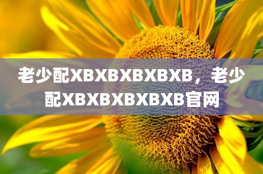 老少配XBXBXBXBXB，老少配XBXBXBXBXB官网