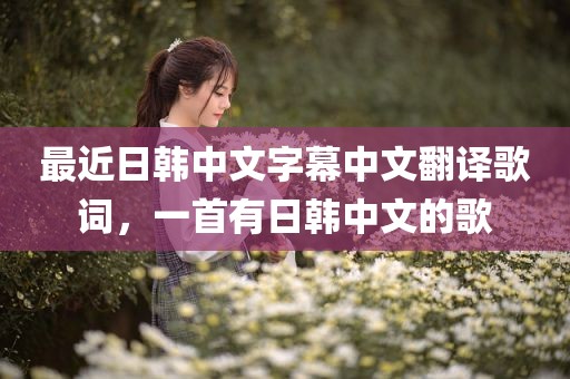 最近日韩中文字幕中文翻译歌词，一首有日韩中文的歌