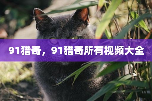 91猎奇，91猎奇所有视频大全