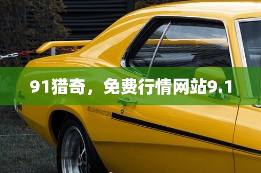 91猎奇，免费行情网站9.1