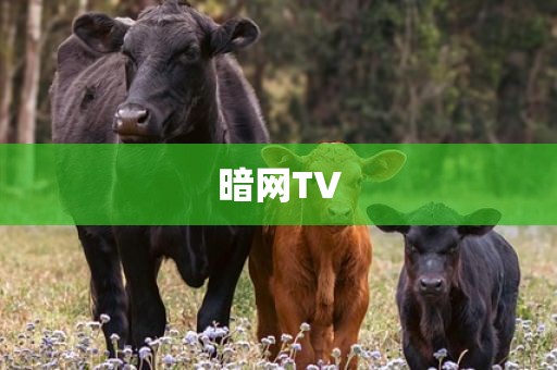 暗网TV