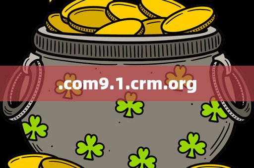 .com9.1.crm.org