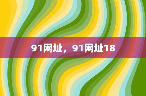 91网址，91网址18