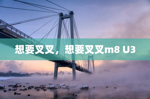 想要叉叉，想要叉叉m8 U3