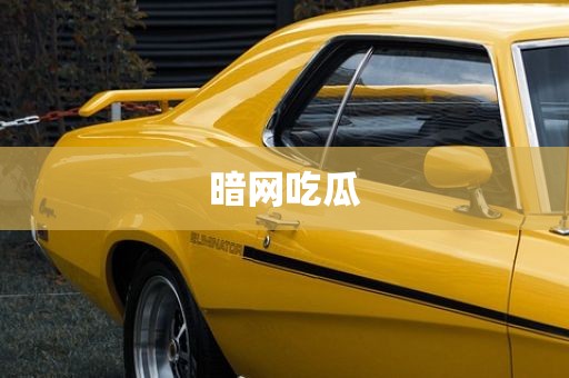 暗网吃瓜