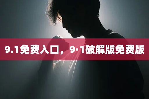 9.1免费入口，9·1破解版免费版