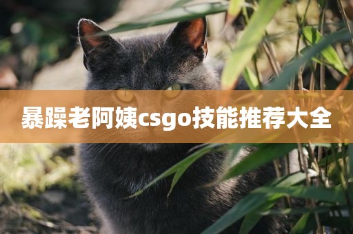 暴躁老阿姨csgo技能推荐大全