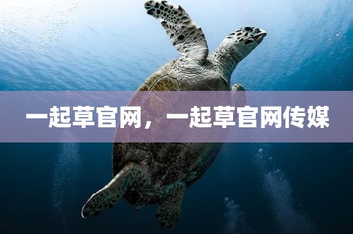一起草官网，一起草官网传媒