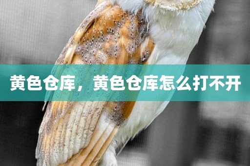 黄色仓库，黄色仓库怎么打不开