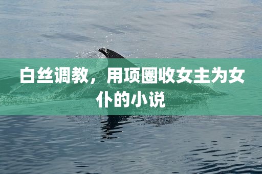 白丝调教，用项圈收女主为女仆的小说