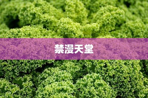 禁漫天堂