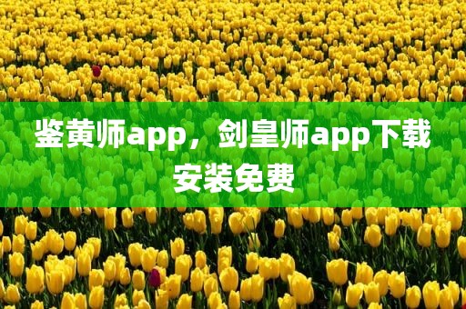鉴黄师app，剑皇师app下载安装免费