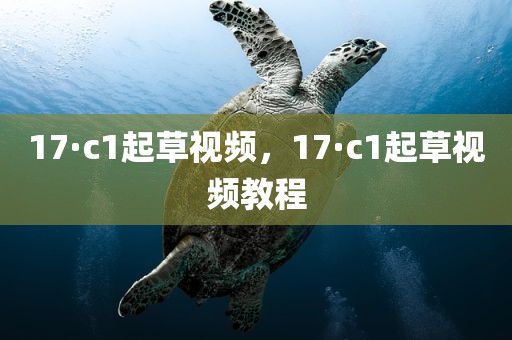 17·c1起草视频，17·c1起草视频教程