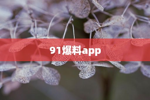 91爆料app